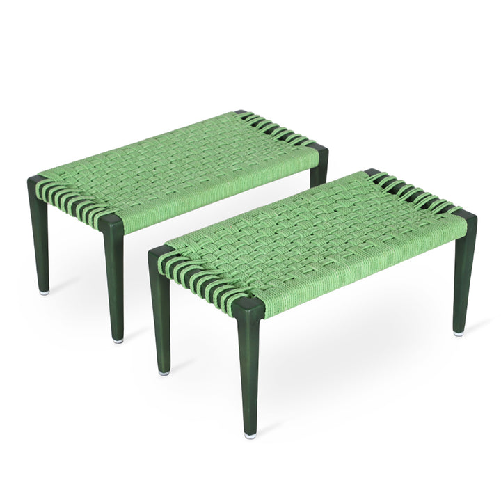 Pithika - Stool