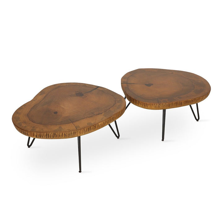 Kalin - Metal Center Table | Alankaram
