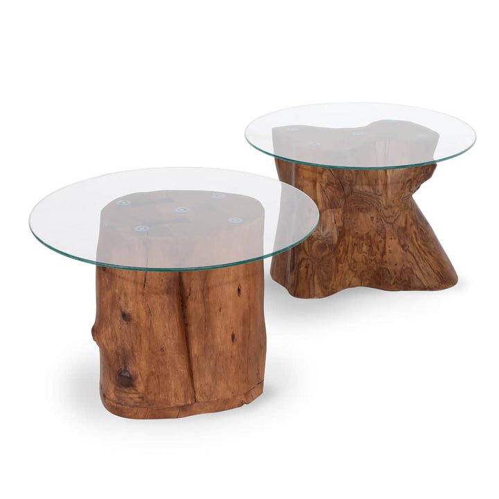 Tabii – Natural Wood Log Center Table - Alankaram