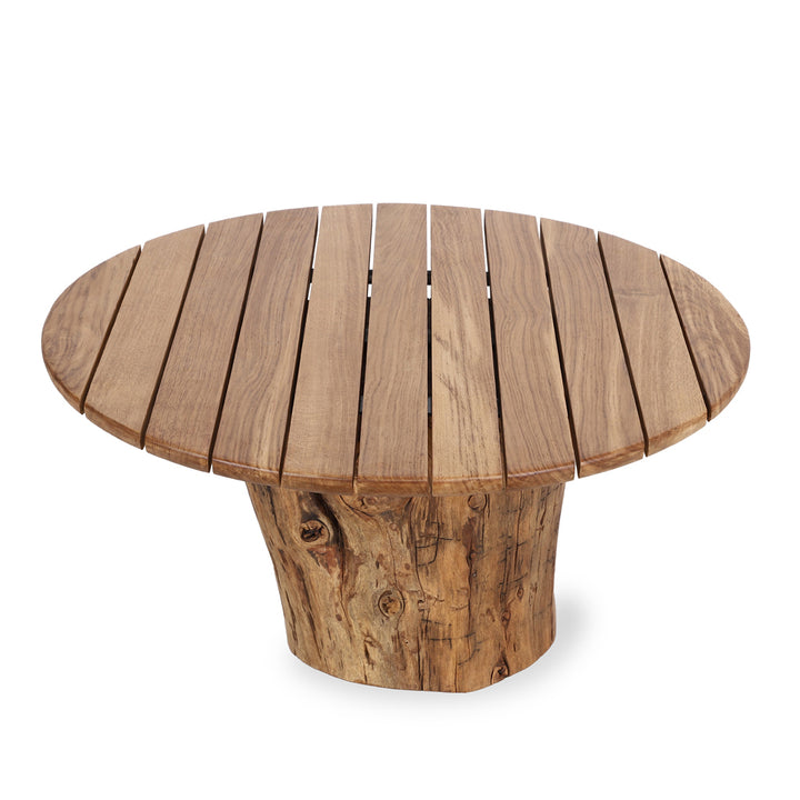 Tabii – Wooden Top Center Table with Wooden Log Base - Alankaram
