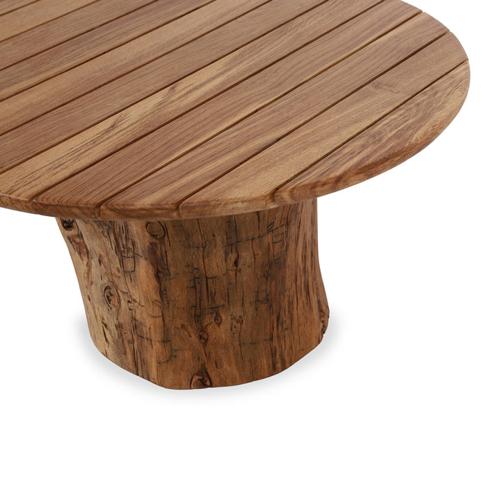 Tabii – Wooden Top Center Table with Wooden Log Base - Alankaram