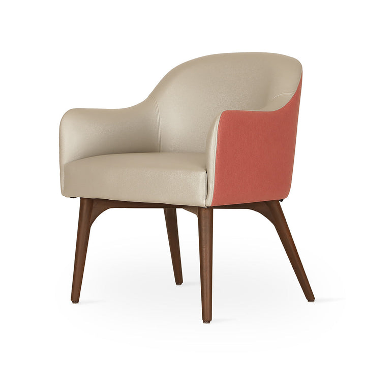 Aavaha - Ash/Oak/Beech legs Dining Chair, Stained, Dining & Study Chairs - Alankaram